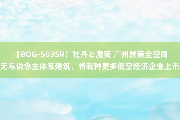 【BOG-503SR】牡丹と魔薇 广州鞭策全空间无东说念主体系建筑，将栽种更多低空经济企业上市