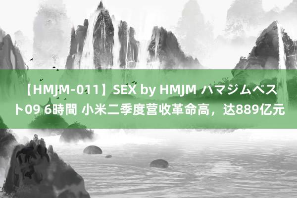 【HMJM-011】SEX by HMJM ハマジムベスト09 6時間 小米二季度营收革命高，达889亿元