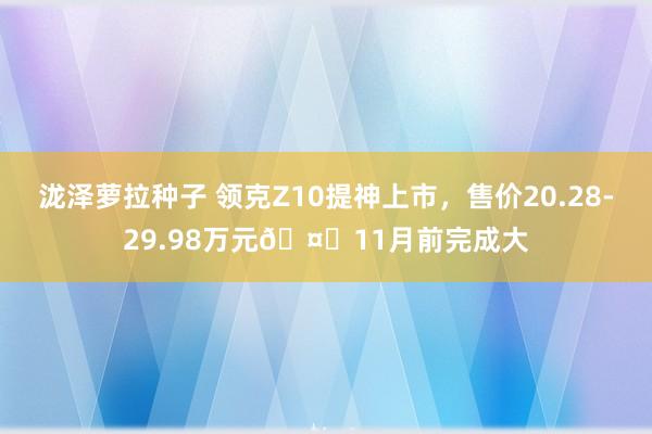 泷泽萝拉种子 领克Z10提神上市，售价20.28-29.98万元?11月前完成大