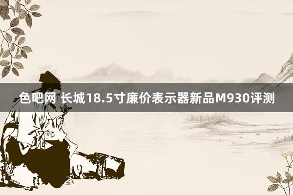 色吧网 长城18.5寸廉价表示器新品M930评测