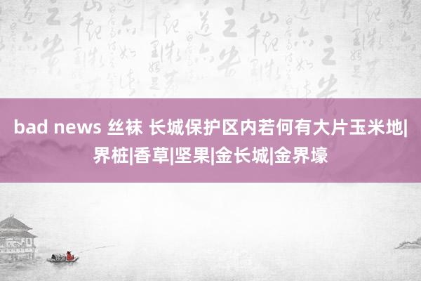 bad news 丝袜 长城保护区内若何有大片玉米地|界桩|香草|坚果|金长城|金界壕