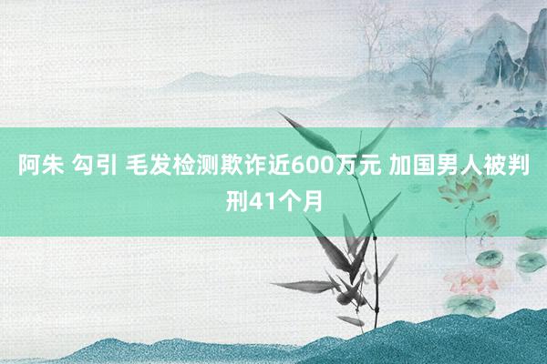 阿朱 勾引 毛发检测欺诈近600万元 加国男人被判刑41个月