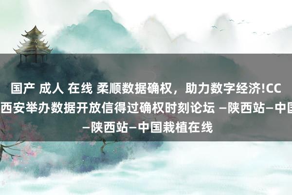 国产 成人 在线 柔顺数据确权，助力数字经济!CCF YOCSEF西安举办数据开放信得过确权时刻论坛 —陕西站—中国栽植在线