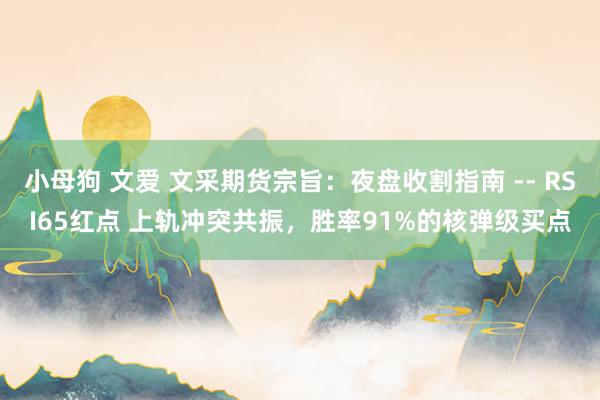 小母狗 文爱 文采期货宗旨：夜盘收割指南 -- RSI65红点 上轨冲突共振，胜率91%的核弹级买点